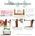 XXXFLOWER Plant Terrarium with Wooden Stand - Image 5