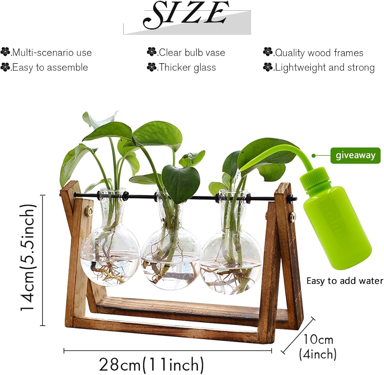 71OYteyxs7L._AC_SL1500_ XXXFLOWER Plant Terrarium with Wooden Stand - Image 6