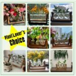 XXXFLOWER Plant Terrarium with Wooden Stand - Image 3